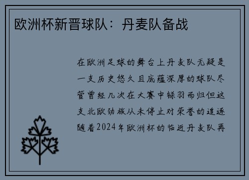 欧洲杯新晋球队：丹麦队备战
